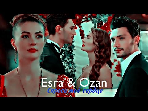 Видео: Esra & Ozan - Спроси моё сердце