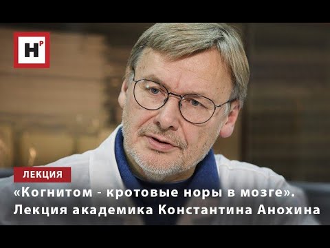 Видео: «КОГНИТОМ ― КРОТОВЫЕ НОРЫ В МОЗГЕ». ЛЕКЦИЯ АКАДЕМИКА КОНСТАНТИНА АНОХИНА