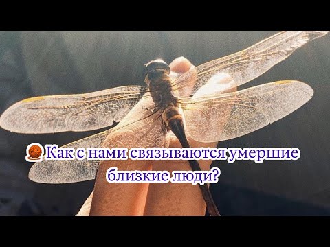 Видео: 👁️ Как с нами связываются умершие близкие люди?