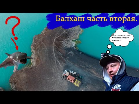 Видео: Балхаш часть вторая. Уха на костре, жареная рыба на природе, чабанская кухня. Balkhash part two