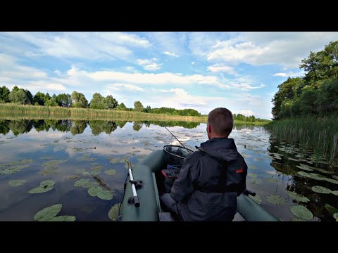 Видео: ЭТО НЕЧТО, ЧТО ТВОРИТСЯ В ЭТИХ КУВШИНКАХ!! Удивительная рыбалка на щуку!