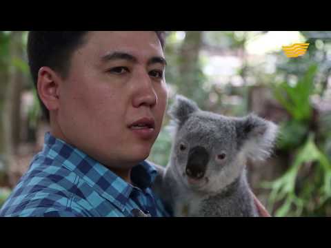 Видео: «Тур де Хабар». Брисбен қаласы. Австралияның ең керемет аралы – Витсандей