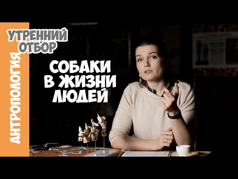 Видео: Собаки в жизни человека. Елена Сударикова