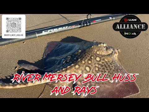 Видео: Река Мерси, быки и скаты - Вейл Парк - Морская рыбалка в Великобритании