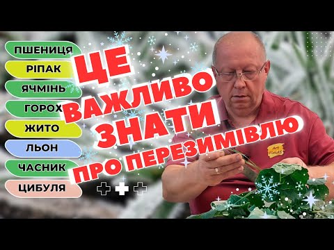 Видео: ⚡️В ЯКІЙ ФАЗІ розвитку ОЗИМІ 🥶👍 КРАЩЕ ПЕРЕЗИМУЮТЬ ❄️