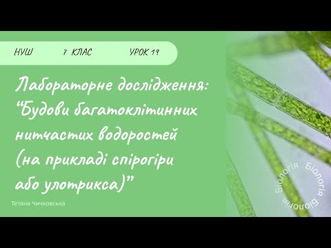 Видео: Лабораторне дослідження багатоклітинних нитчастих водоростей (на прикладі спірогіри або улотрикса)