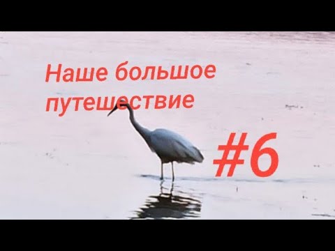 Видео: От удочки до истории: Необычный маршрут 