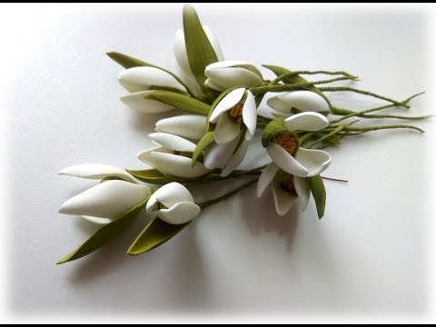 Видео: Как сделать подснежник из фоамирана /Мастер  класс