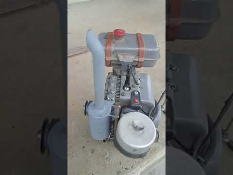 Видео: Мотоблок Нева. Китайский карбюратор на Дм-1. Vintage Briggs&Stratton with new modern caburetor