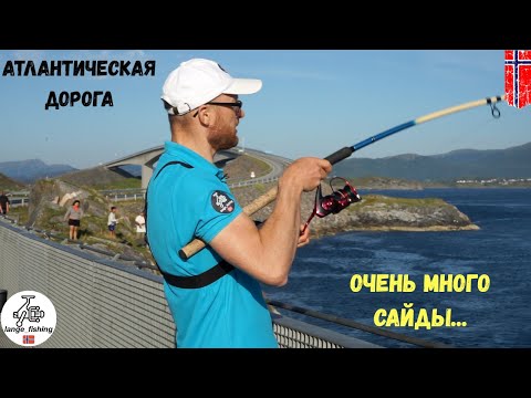 Видео: Рыбалка в Норвегии. АТЛАНТИЧЕСКАЯ ДОРОГА. Красивейшее место. Сайда. Скумбрия. Норвегия. Рыбалка.