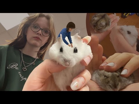 Видео: последний школьный влог в этом году