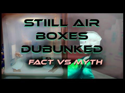 Видео: Не покупайте вытяжку Flow — как на самом деле использовать вытяжку Still Air Box