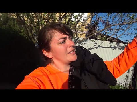 Видео: СОБИРАЮСЬ В ДОРОГУ. ЕДЕМ В ПИТЕР! ПОДСТРИГЛА ДЕНИСА. ЗАБРАЛА ПОКУПКИ. КАК ВСЁ УСПЕТЬ?