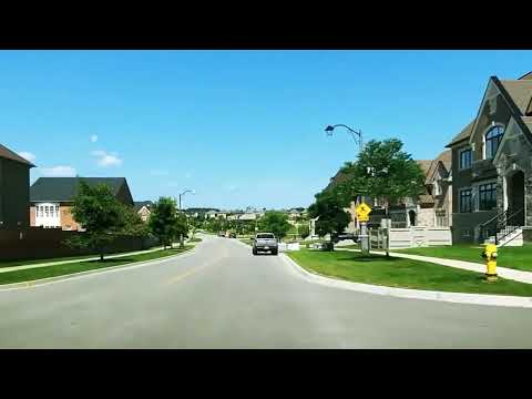 Видео: B Kанаде жить нельзя/ почему одним нормально а другим плохо/послушай и подумай о чем я рассказал