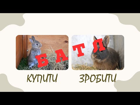 Видео: БАТЛ кормів для кроликів "СВІЙ за 10 - тку" і "КомбіФід"