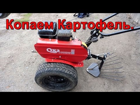 Видео: Копаем Картофель - мотоблок Ока - копалка Зубр.