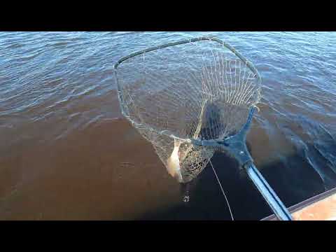 Видео: ПРОВЕРКА ПРОДОЛЬНИКОВ ПОСЛЕ РАБОТЫ \ ОБЩИЙ РЕЗУЛЬТАТ ДВУХ ПРОВЕРОК