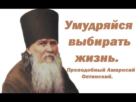 Видео: Отношения с ближними. Преподобный Амвросий Оптинский.