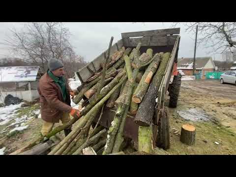 Видео: ВОЗИМО ДРОВА З ДОЛИНИ ТРАКТОРОМ Т-16