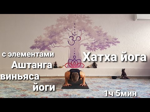 Видео: Хатха йога с элементами Аштанга виньяса йоги