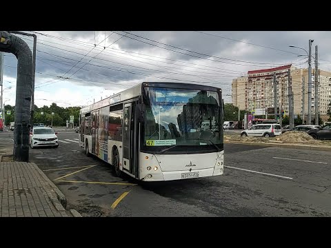 Видео: Автобус, маршрут №47 МАЗ-203.085 б.1194 (14.07.2022) Санкт-Петербург