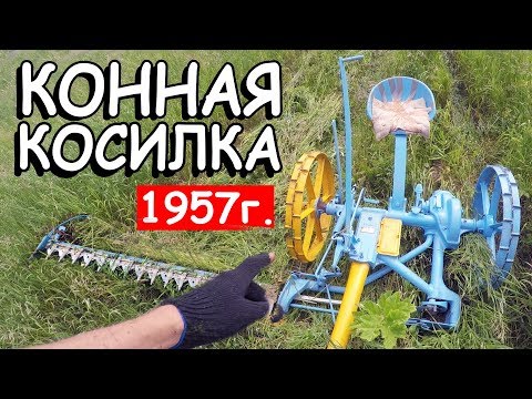 Видео: КОННАЯ КОСИЛКА + ШУМАХЕР. Кошение луговой травы