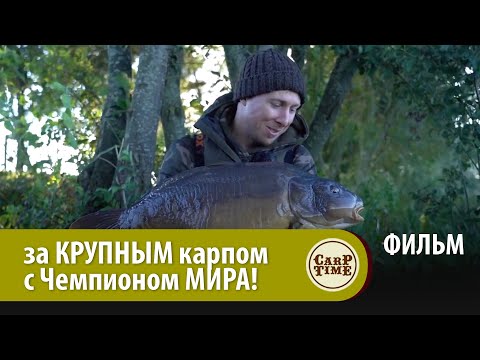 Видео: ОХОТА за КРУПНЫМ карпом с ЧЕМПИОНОМ МИРА! ФИЛЬМ