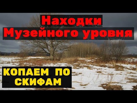 Видео: Мой лучший коп по СКИФАМ! НЕВЕРОЯТНЫЕ НАХОДКИ !Поиск 2019.