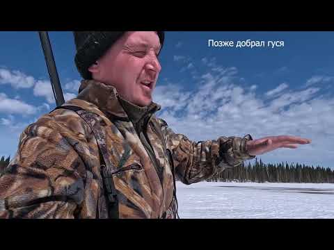 Видео: Охота на ГУСЯ. off-road .Добираемся до дома на снегоходах через болота, ручьи и реки.