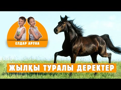 Видео: Факты про лошадь на казахском языке / Домашние животные