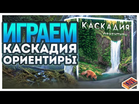 Видео: Играем в настольную игру Каскадия с дополнением Ориентиры