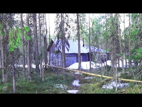 Видео: Четыре дня в тайге. Лесная изба. Весенняя охота. Таёжный быт. Мёртвый волк. Часть 1
