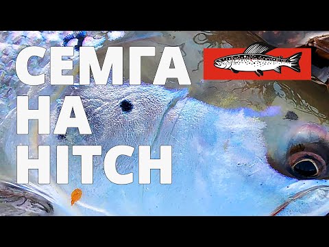 Видео: Ловлю семгу нахлыстом на Riffling Hitch на Кольском полуострове