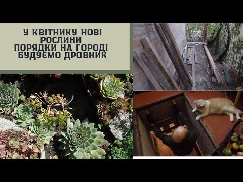 Видео: #85 Розчищаємо квітник/ Посадила очитки і декоративний міндаль/Будуємо дровник /Порядок на городі