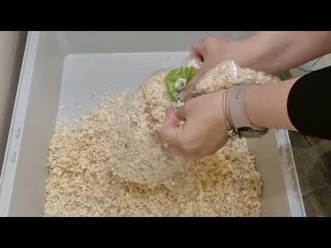 Видео: Генеральная уборка в клетке у дегусов