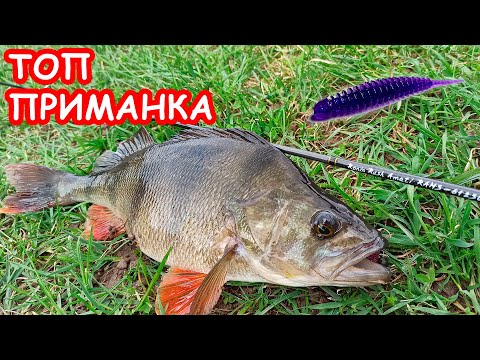 Видео: ЭТА ПРИМАНКА ЛОВИТ МНОГО. ТОП ПРИМАНКА. РЫБАЛКА НА СПИННИНГ