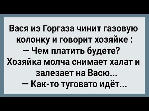 Видео: Как Вася из Горгаза за Работу Брал Натурой! Сборник Свежих Анекдотов! Юмор!