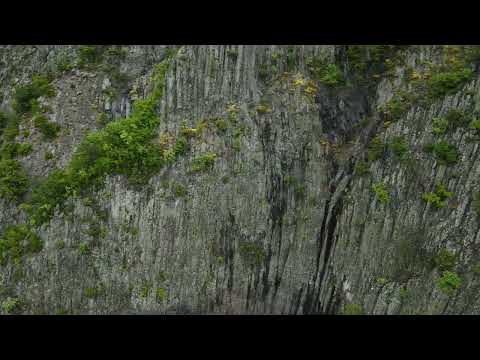 Видео: Borovitsa (река Боровица