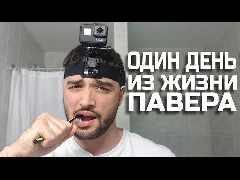 Видео: ОДИН ДЕНЬ ИЗ ЖИЗНИ ПАВЕРА