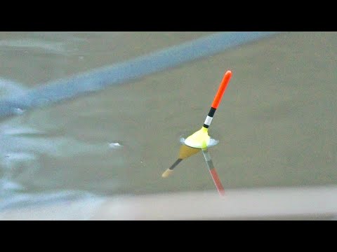 Видео: ОНИ КЛЮЮТ БЕЗ ОСТАНОВКИ... НОЧЕВКА ДИКАРЕМ В ДИКОМ ЛЕСУ! Рыбалка на поплавок 2024.