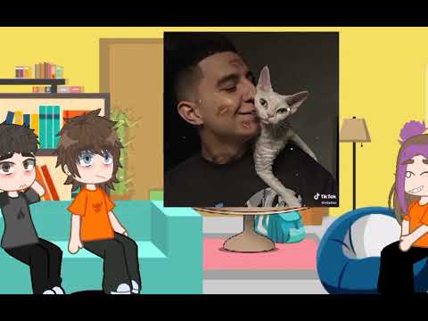 Видео: реакция а4 на тт