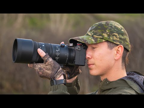 Видео: Обзор объектива Sigma 70-200mm f/2.8 для съемки дикой природы и птиц