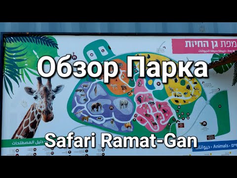 Видео: Обзор парка.Safari Ramat-Gan#животные #zoo #safari