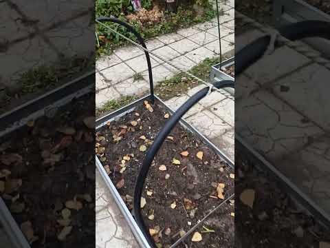 Видео: 23 октября 2025 г.