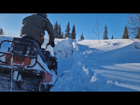 Видео: Вижас.Год новый,буран старый.