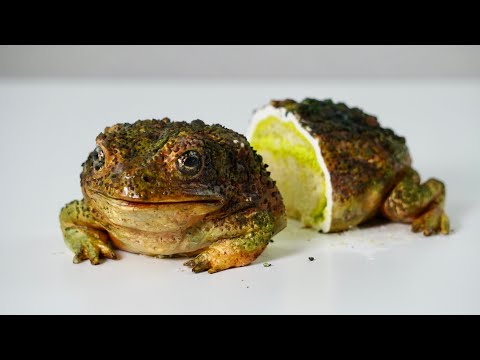 Видео: Делаем РЕАЛИСТИЧНЫЙ ТОРТ-ЖАБКУ