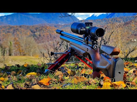 Видео: Обзор Прицела Vector Optics Continental 4-24x56 FFP о ОТСТРЕЛ С АТАМАНА М20 НА 25.0 ЧЕРЕЗ НЕГО!