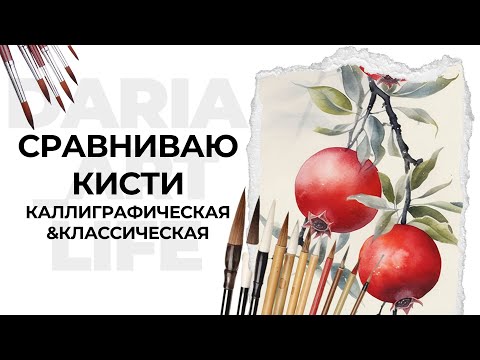 Видео: Сравниваю кисти. Каллиграфическая кисть & кисть в форме капли колонок. Рисую гранаты акварелью.