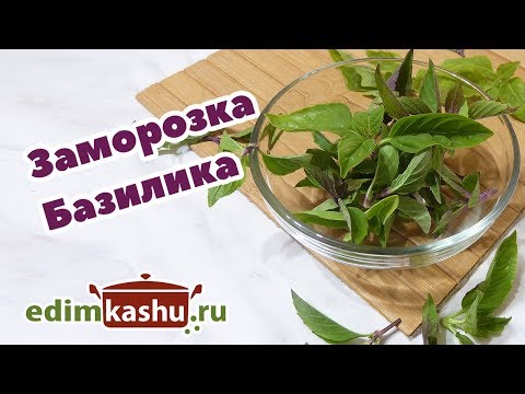 Видео: Очень простой способ Заморозки Базилика/ Заготовки на зиму