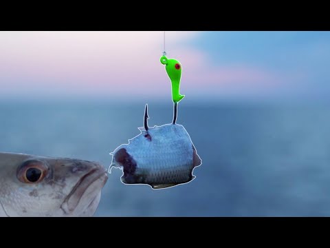 Видео: Две эффективные оснастки для ловли люциана с любого рыболовного пирса